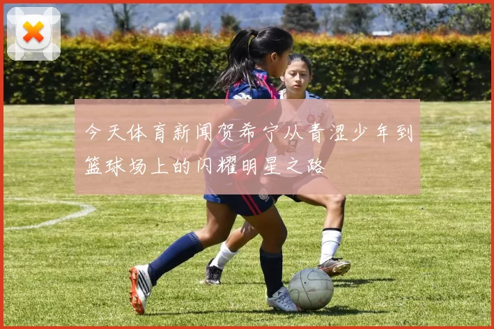 今天体育新闻贺希宁从青涩少年到篮球场上的闪耀明星之路