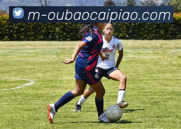 欧宝彩票APP 体育赛事宣传图